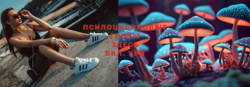 Галлюциногенные грибы Cubensis  Выкса 